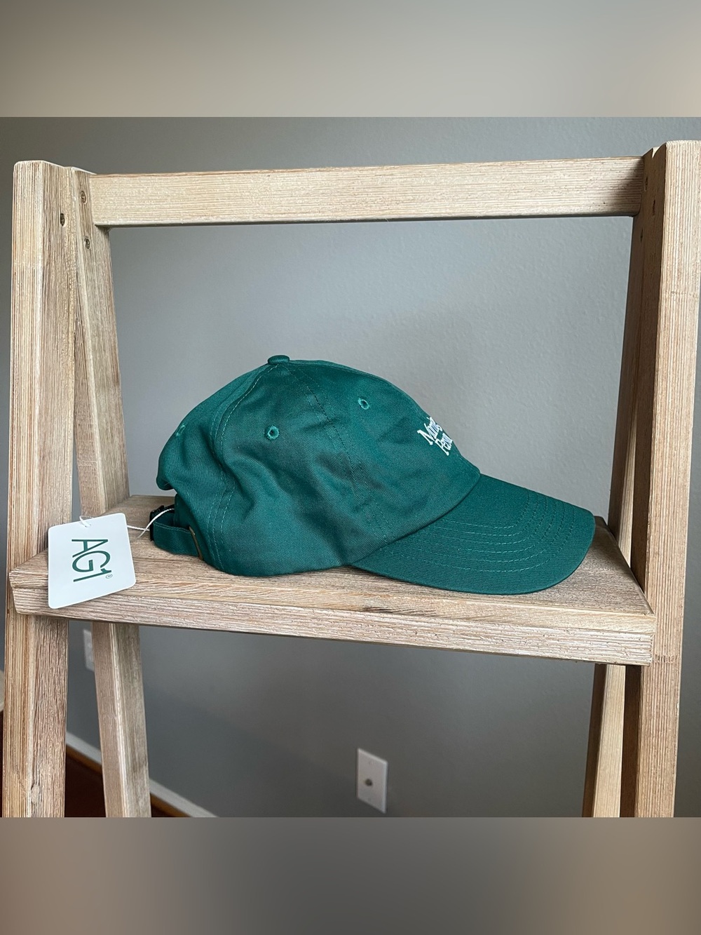 NWT- AG1 Adjustable “Morning Person” One size Green Strapback Baseball Cap Gift - Picture 7 of 9